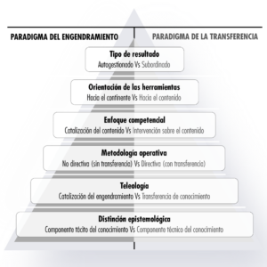 pirámide de coherencia científica